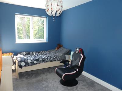 Picture 25